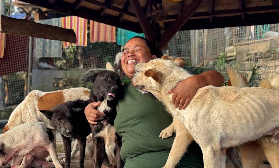 A smiling shelter caregiver surrounded by affectionate dogs at Aseman Bali Dog Association